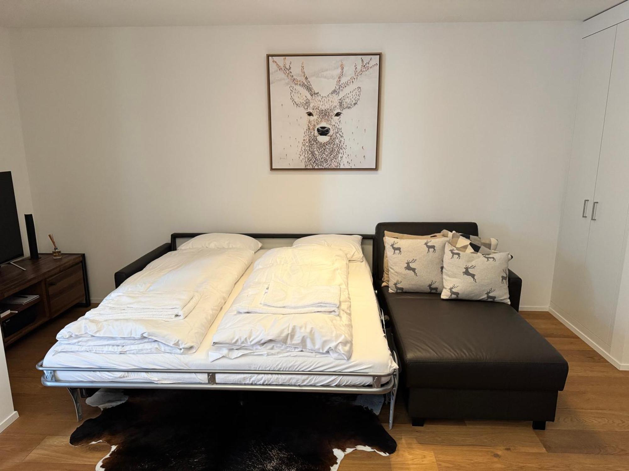 Beautiful Sunny New 1 Bed Apt  Flims Exterior foto