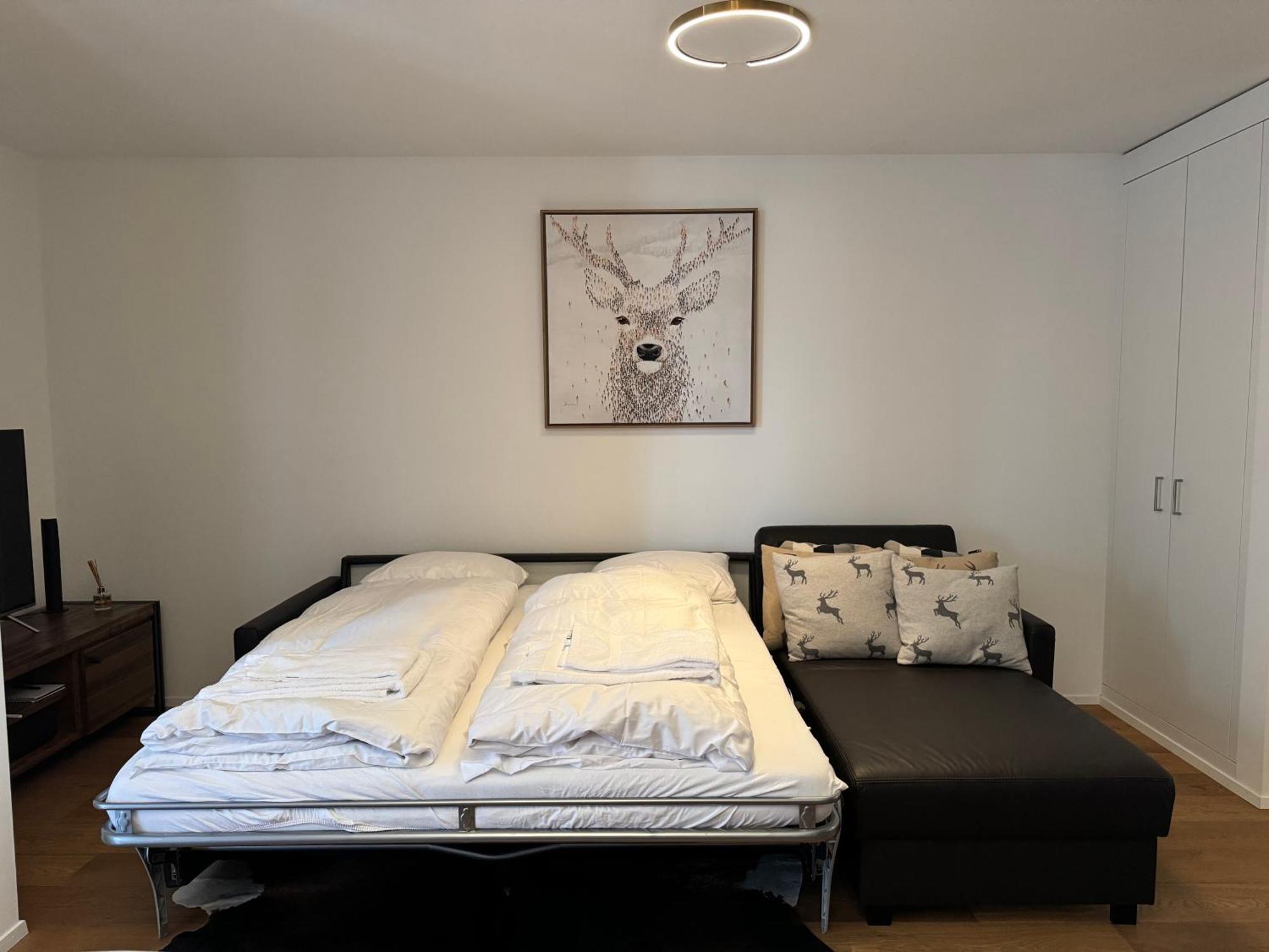 Beautiful Sunny New 1 Bed Apt  Flims Exterior foto